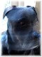 Avatar gebruiker