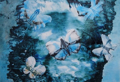 vlinderkaart Marion.jpg