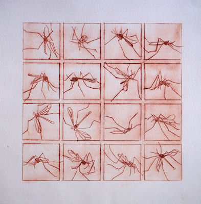 ets bzz sanguine.jpg