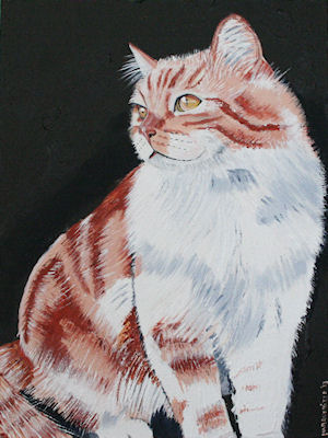 facebook cat large.jpg