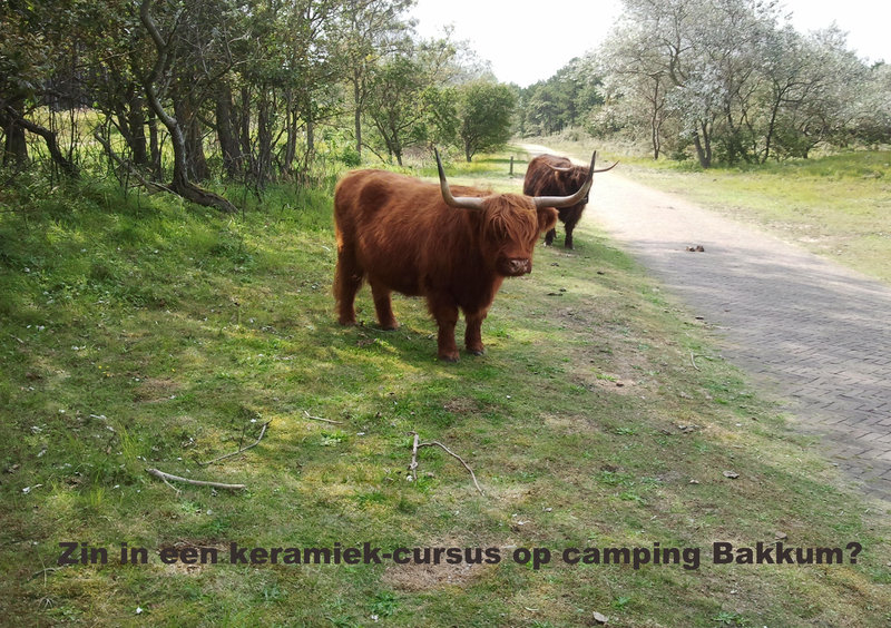 voorkant flyer keramiekcursus bakkum.jpg