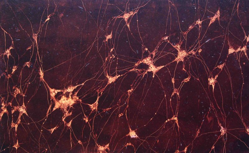 Structures of Life 4.jpg