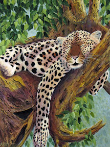 W09 SLEEPING BEAUTY.jpg