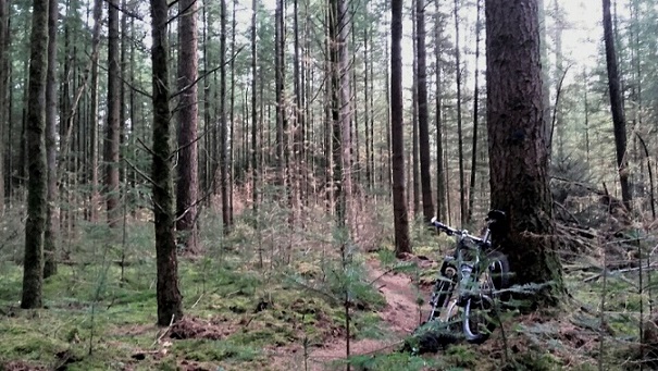 mtb in de bossen.jpg