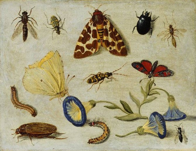 Jan van Kessel