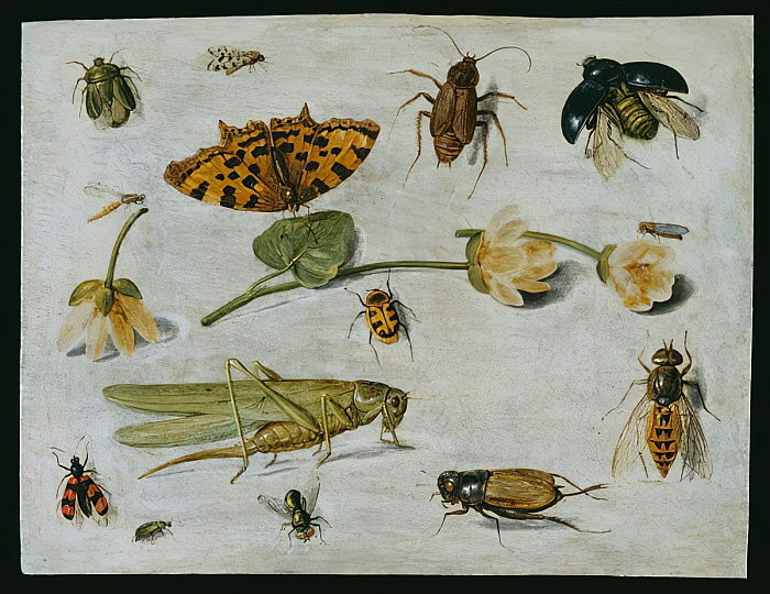Jan van Kessel