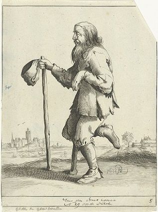 Dode kikker met bromvliegen