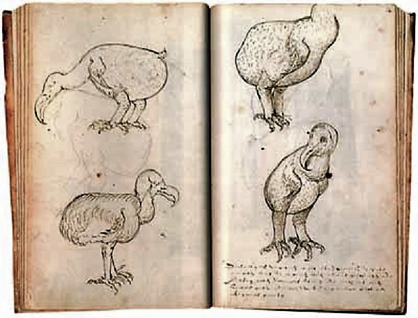 Tekeningen reisverslag De Gelderland