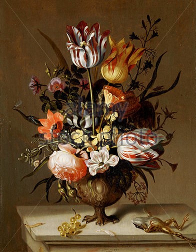 Stilleven met dode kikker