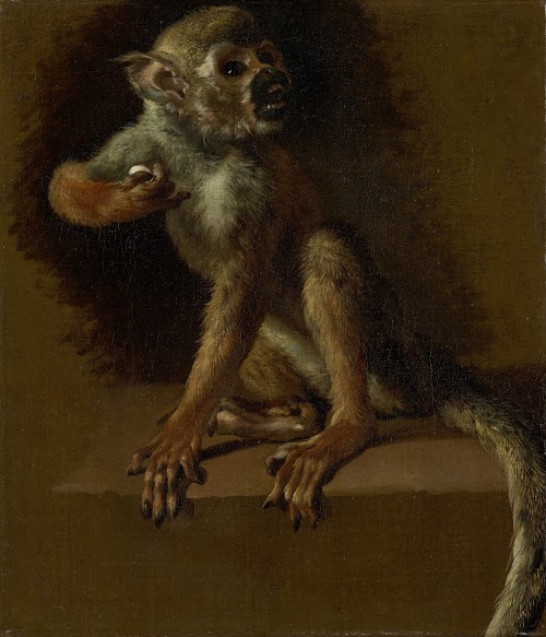 Zittend aapje - Jan Weenix