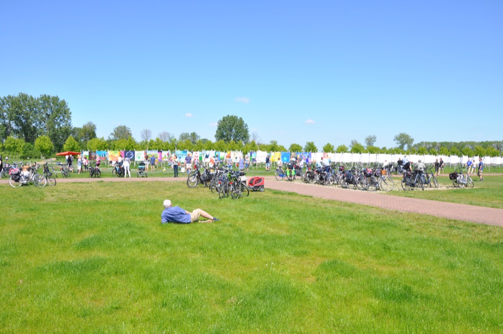 The Colorfield Performance