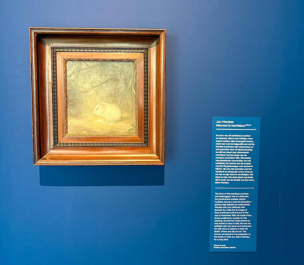 Marmot in Herfstbos - Jan Mankes