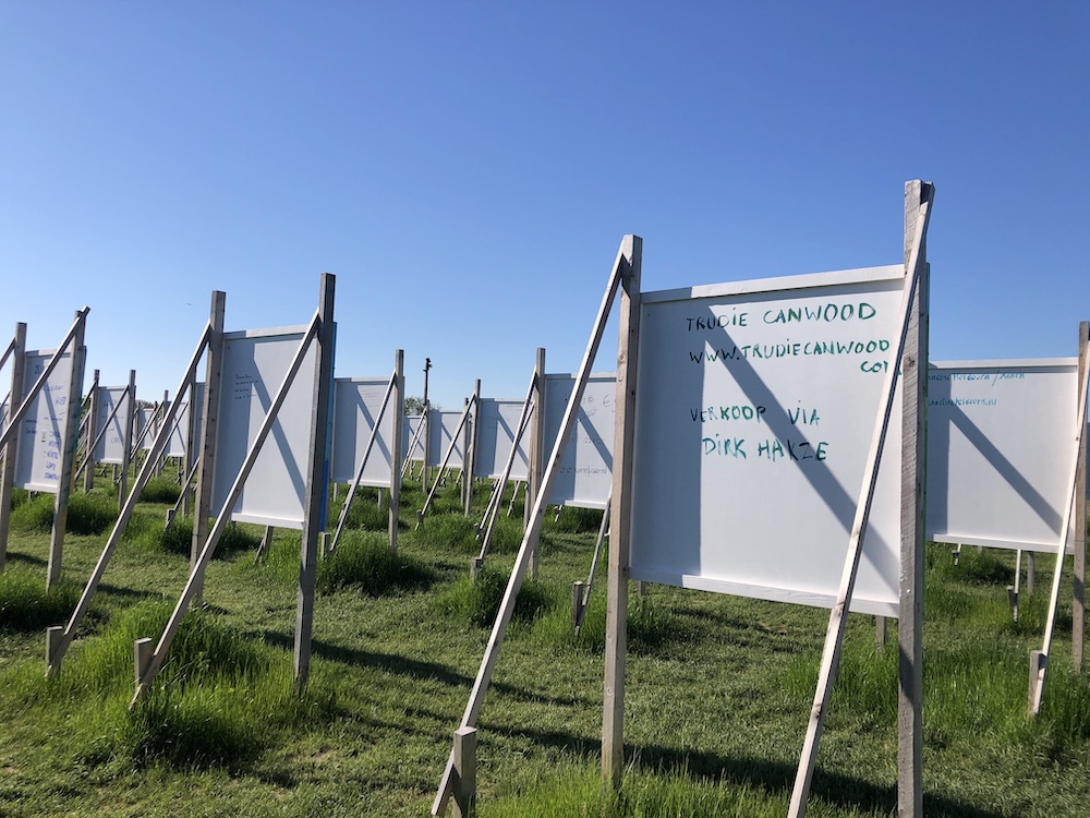 The Colorfield Performance in Park Lingezegen