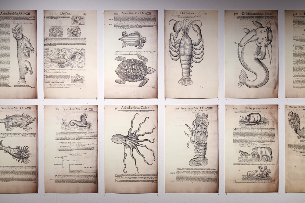 'Fotografie: Peter Cox