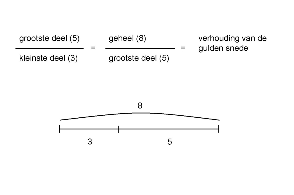 De verhouding van de Gulden Snede, Roos van der Meijden