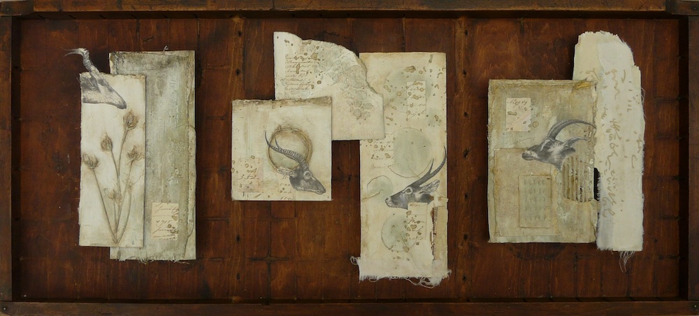 Antilopen 1 - Astrid van Kampen