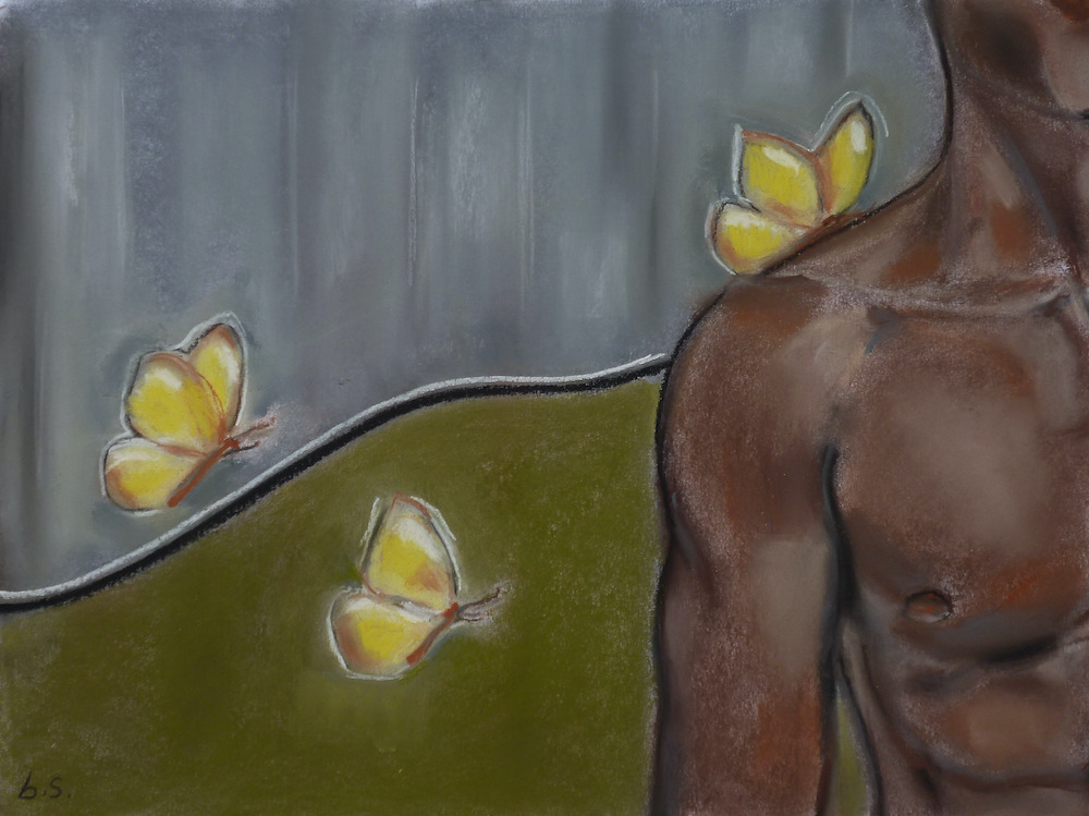 Farfalle - Bart Senders