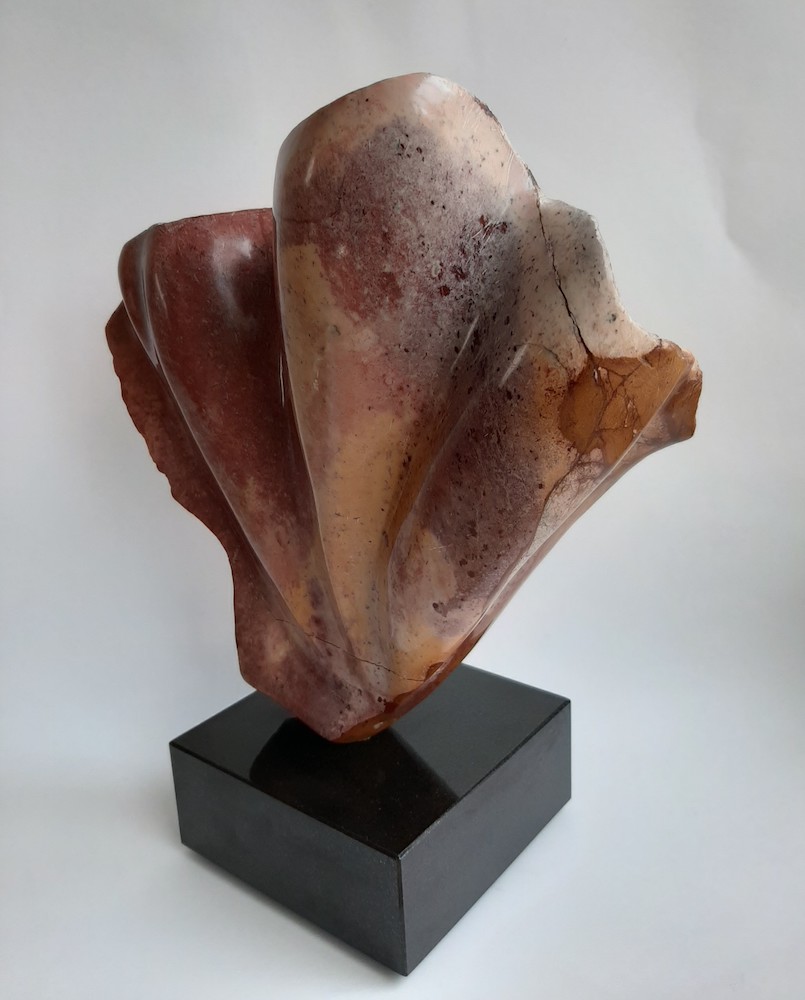 Curve of change - Carla Kloppenburg