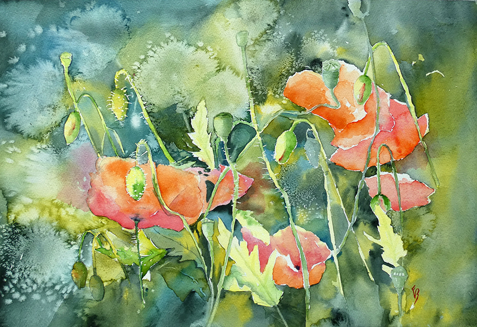 De laatste zonnedans - Ellen Visser