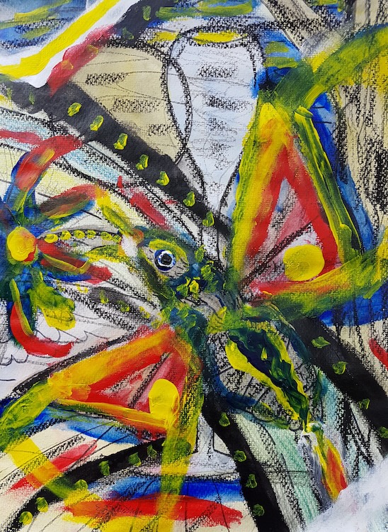 Erik-Jan Kruyssen - Kolibrie