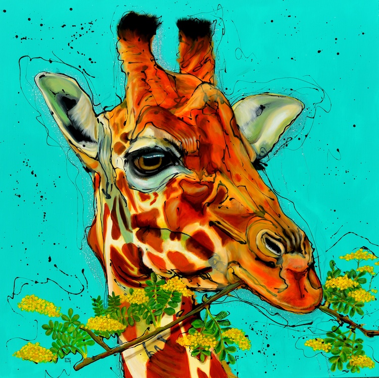 Sharing Acacia 1 - Erlinde Stephanus