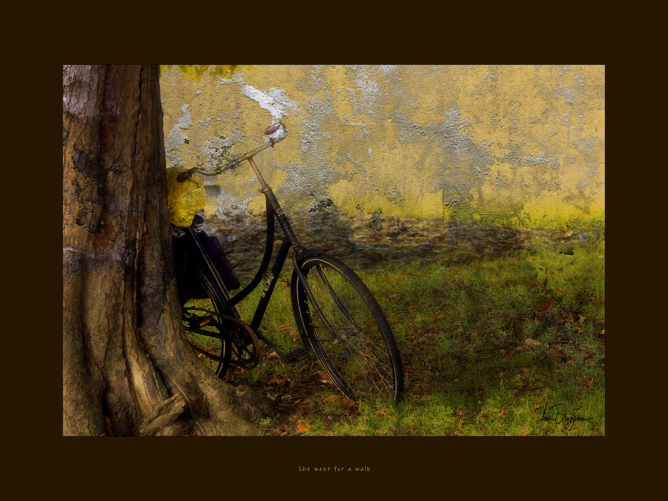 She went for a walk - Han Overgaauw