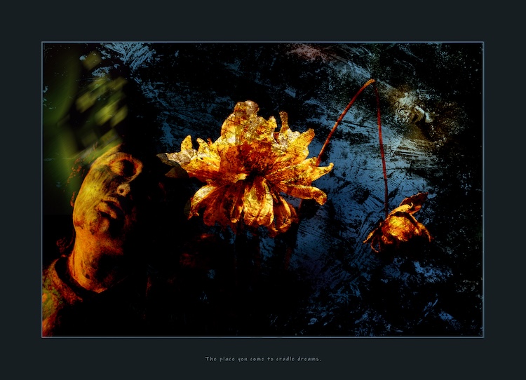 The place you come - Han Overgaauw