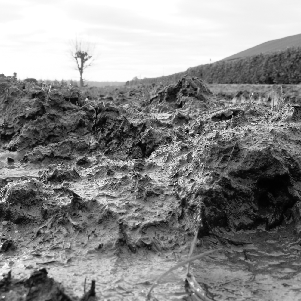 Happy days - Henry Pennings