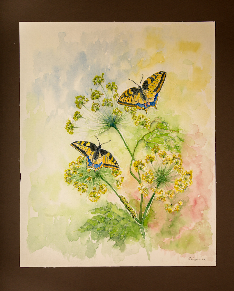 Koninginnepage - Isabel van Bijnen