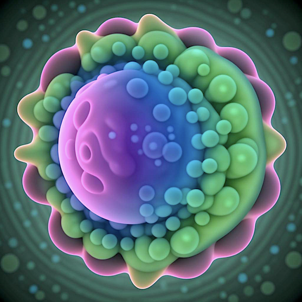 Protoplasm single cell, 09