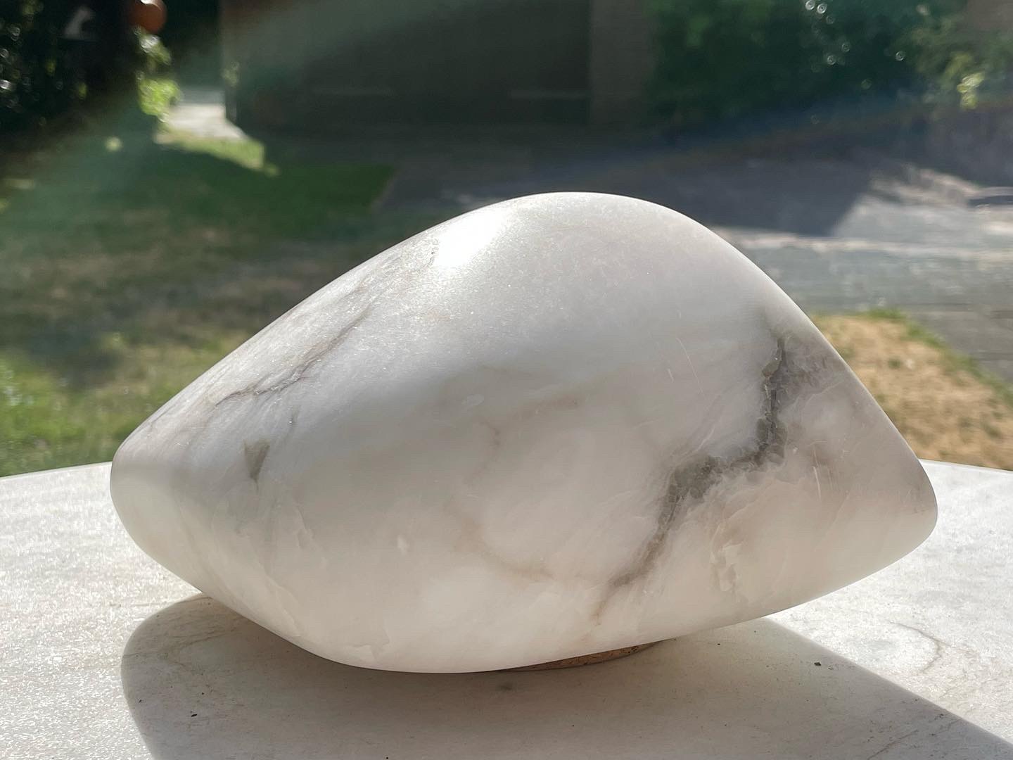 Gewone stuifmeel korst - Jos Brok