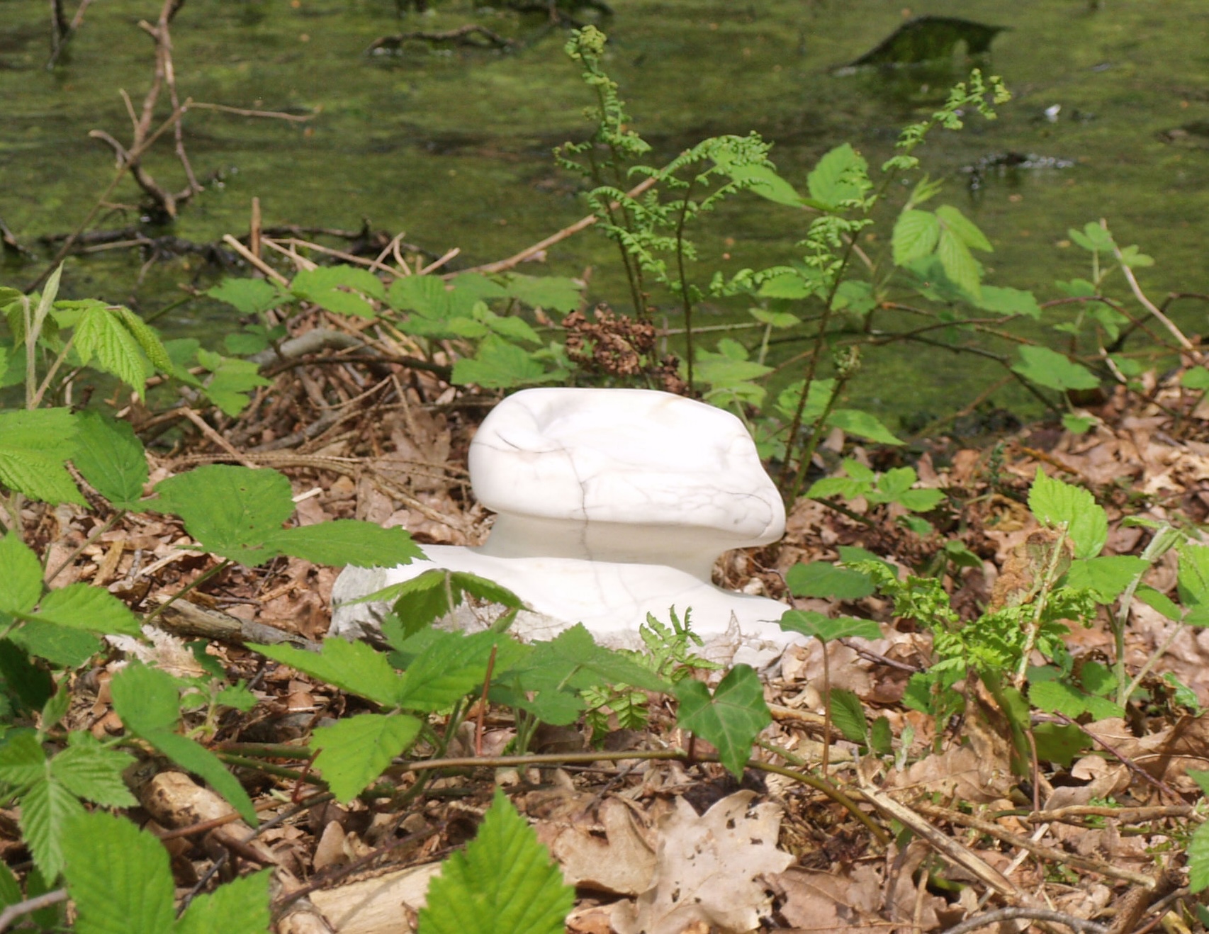 Groot dooiermos 3 - Jos Brok