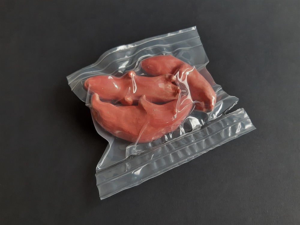 Preklinisch materiaal - Margriet Blom