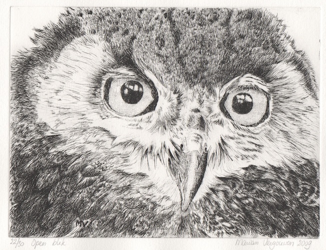 Open blik - Marian Vergouwen