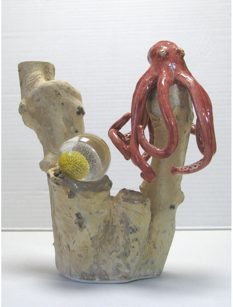 Geheimen van de zee - Riann van Nieuwkerk