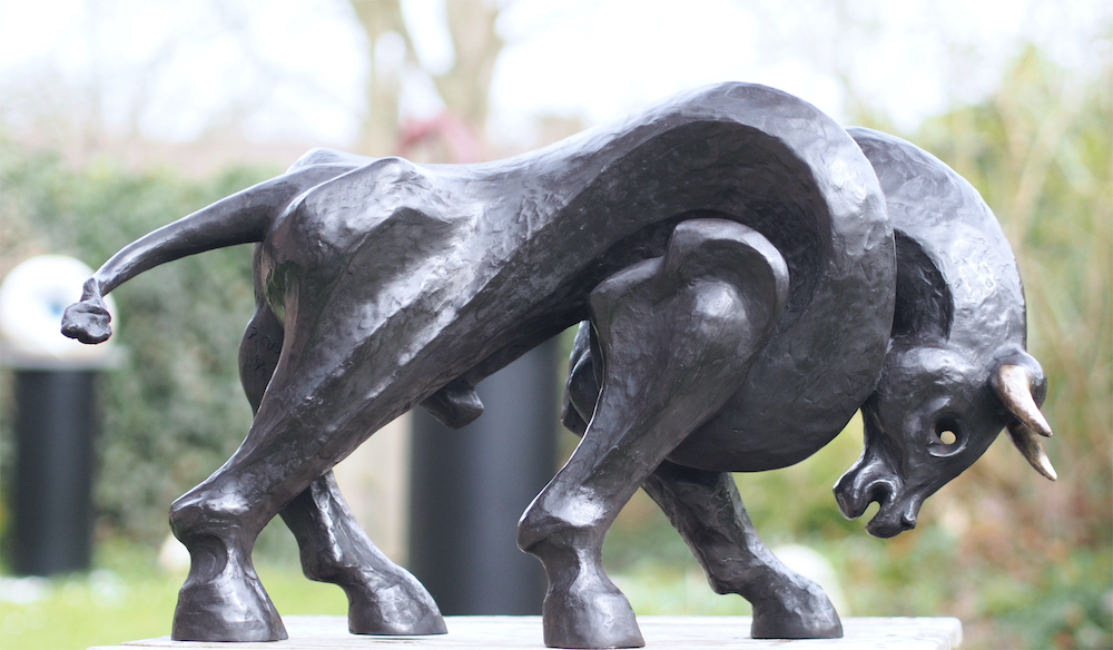 Turbulente stier - Rino van Voorbergen