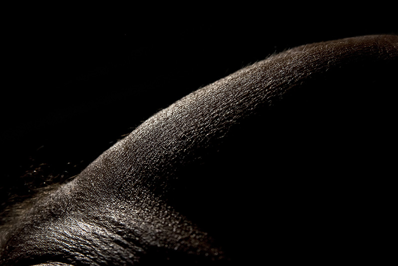 zonder titel - Roel Burgler