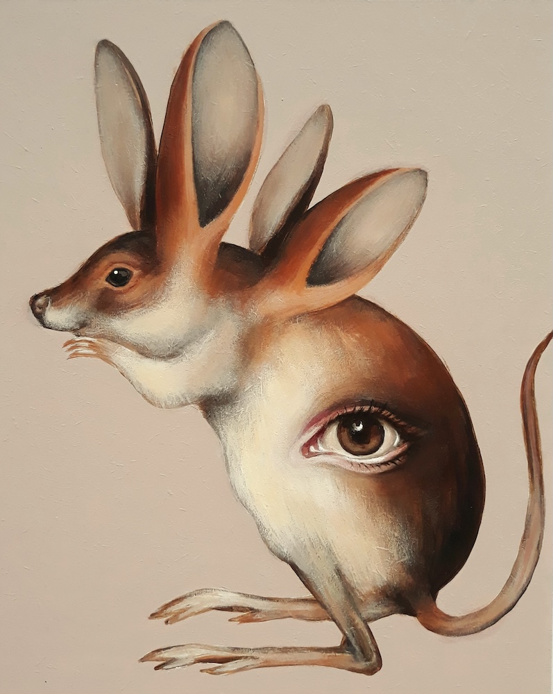 Ooggetuige - Scottie