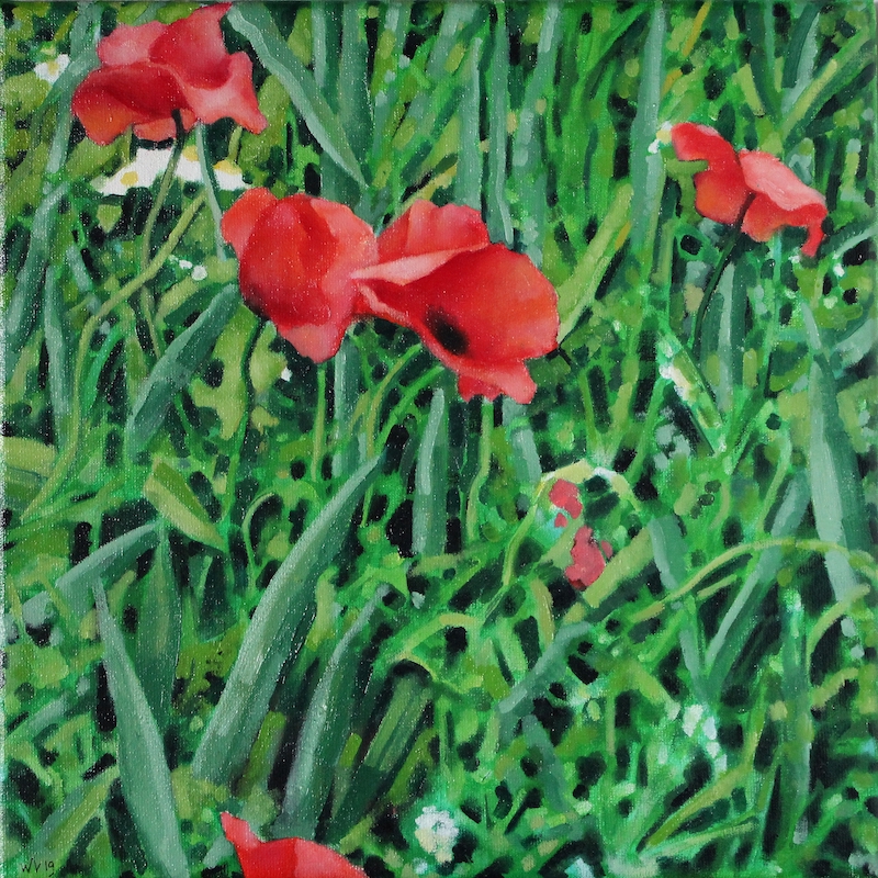 Klaprozen - Willem Visser