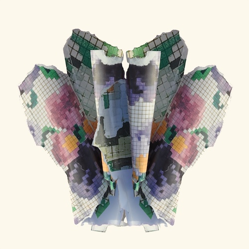 Hoofdtulp - Yvonne Alting